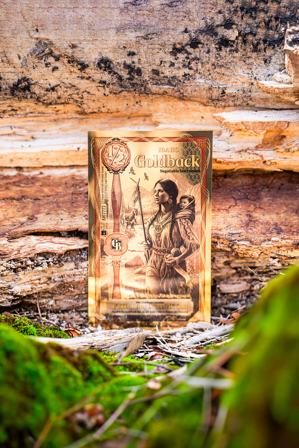 1/2 Idaho Goldback – Alpha