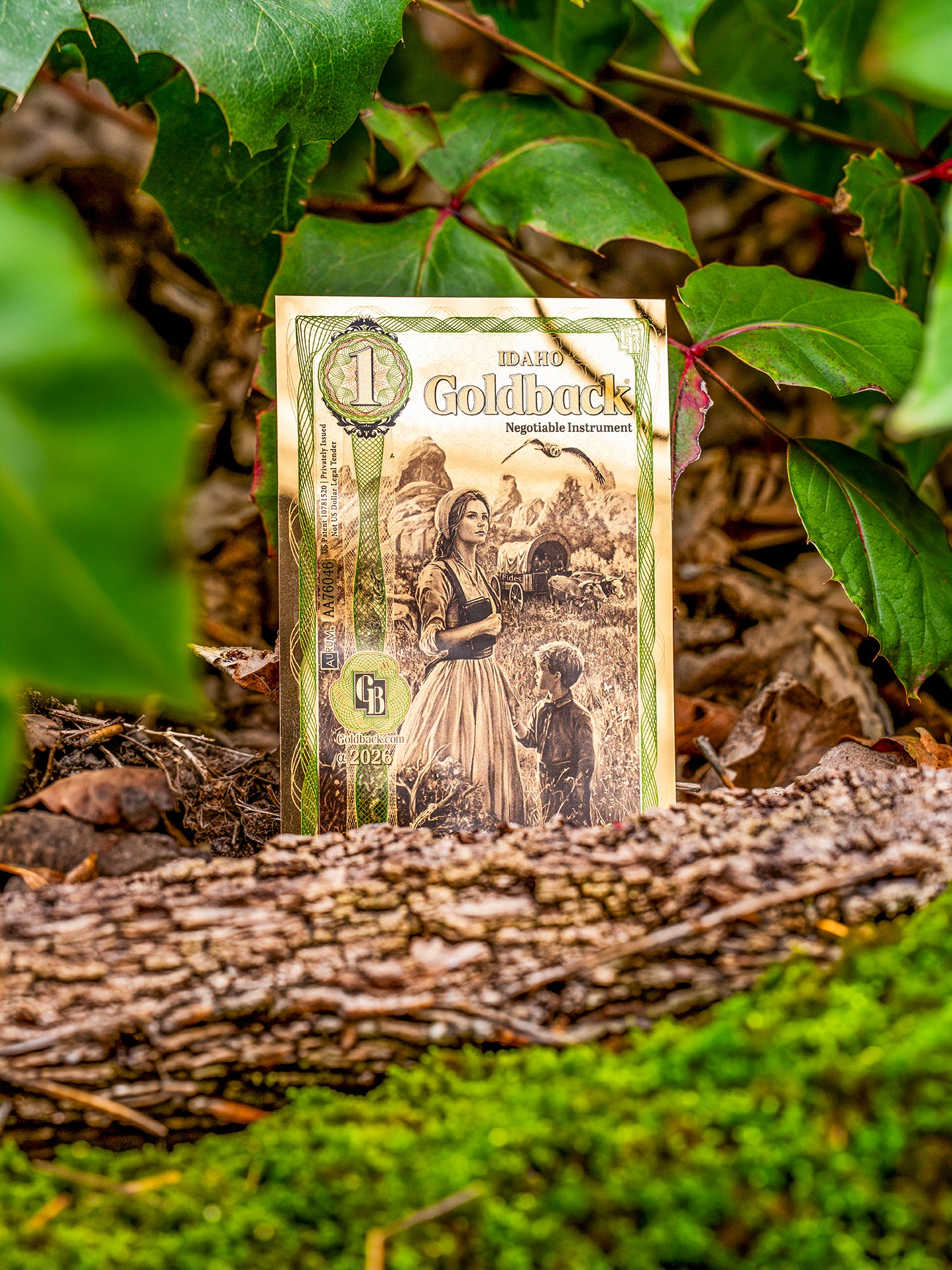 1 Idaho Goldback – Alpha